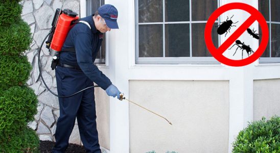 Reşadiye Fare İlaçlama böcek ilaçlama ve haşere kontrolü — ilaclama-tr.com